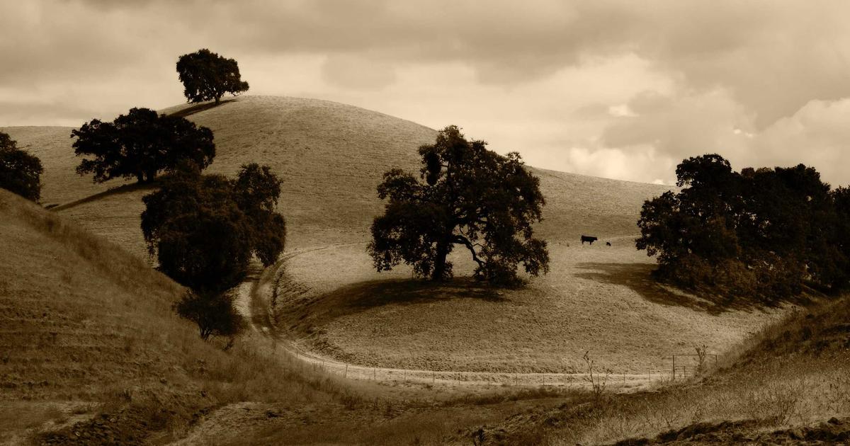 CapCutテンプレートを活用したショート動画量産