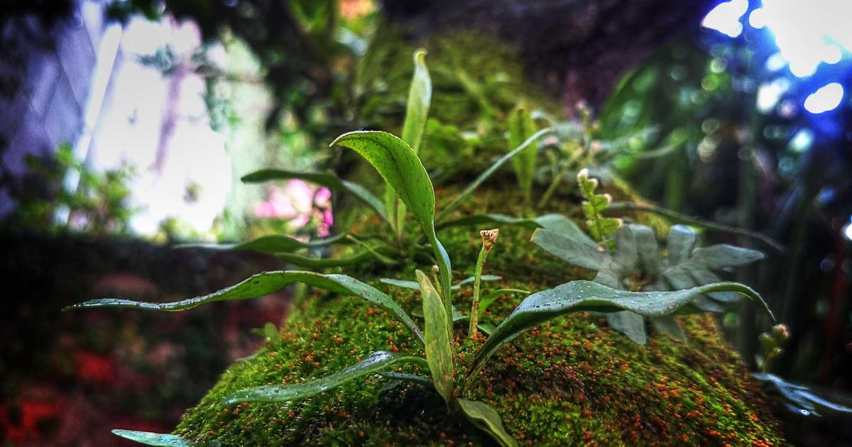 グリッチエフェクトのAfterEffects制作例