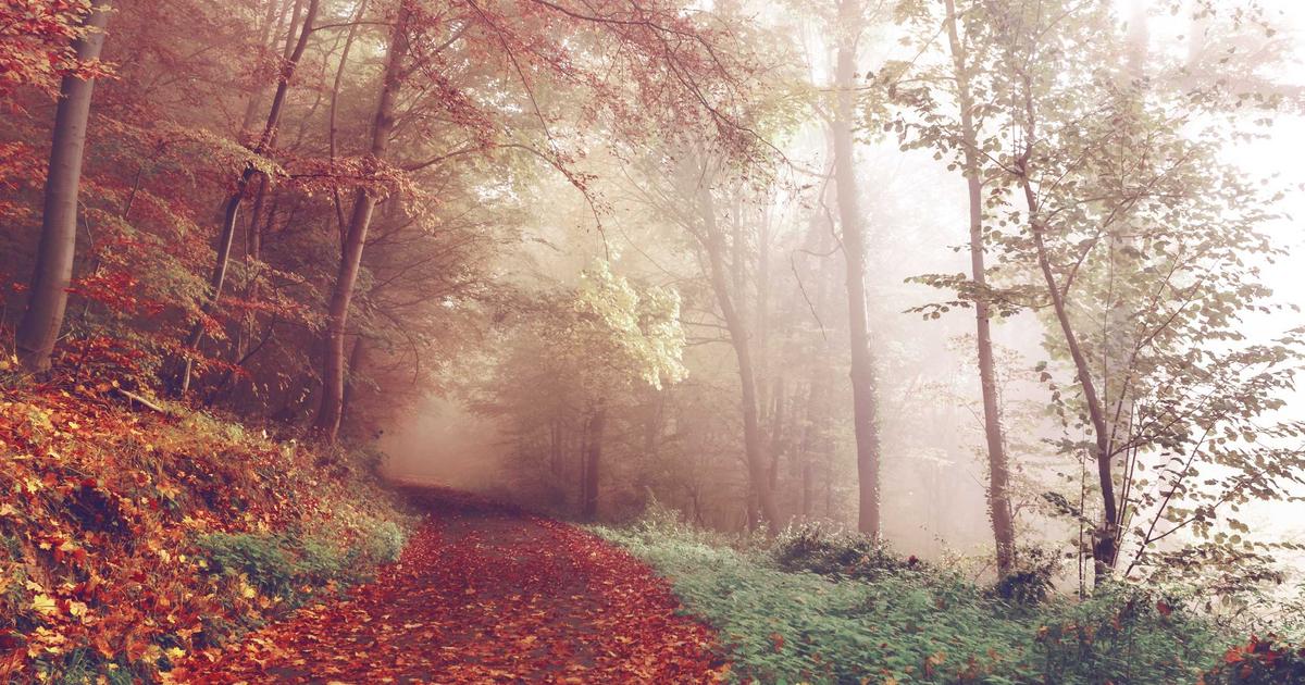 動画DX成功事例 コスト90%削減